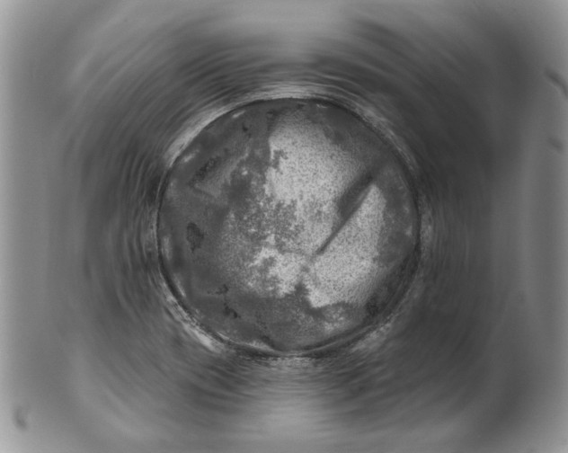 X0000100781417200807101805