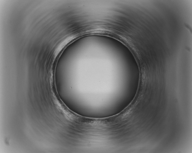 X0000100781418200807101805