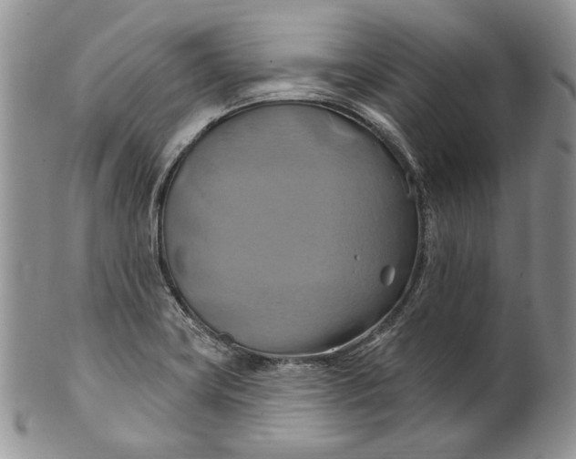 X0000100781419200807101805