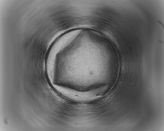 X0000100781420200807101805