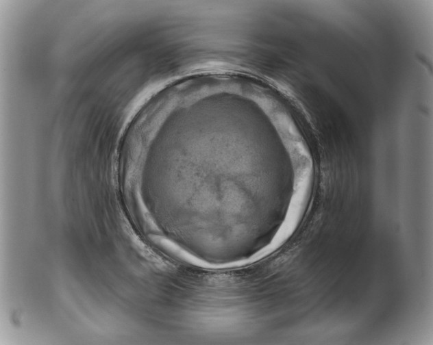 X0000100781421200807101805