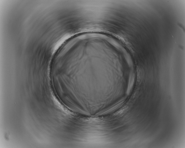 X0000100781422200807101805