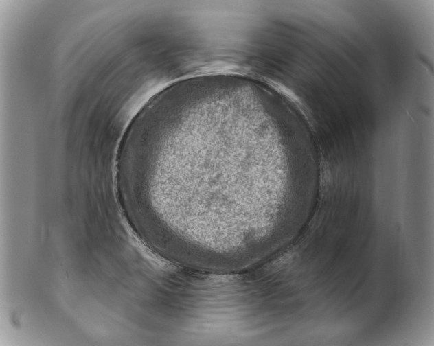 X0000100781423200807101805