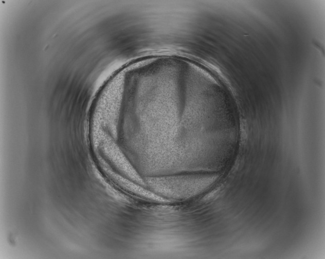 X0000100781424200807101805