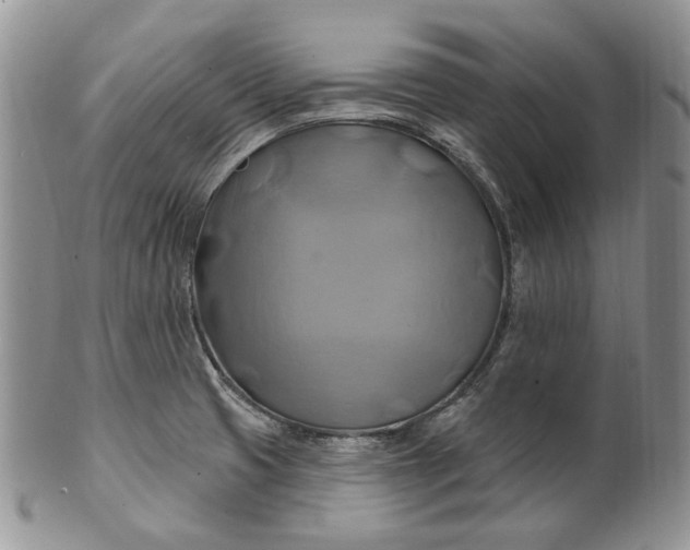 X0000100781425200807101805