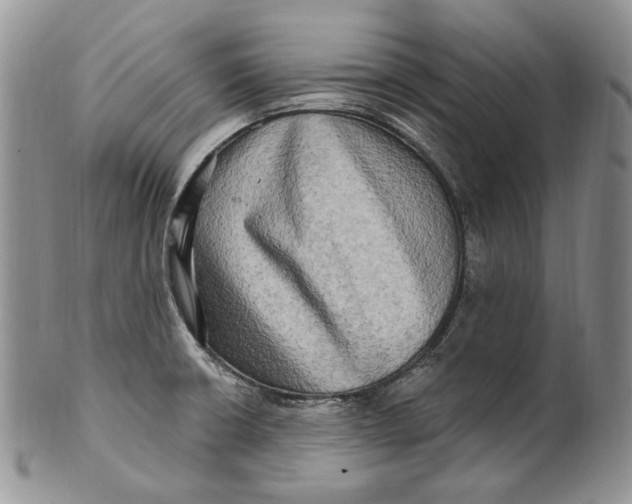 X0000100781426200807101805