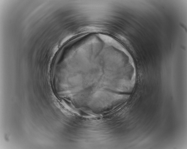 X0000100781427200807101805