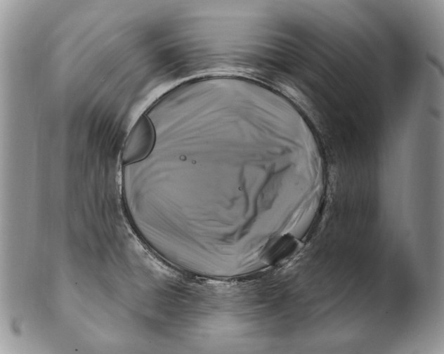 X0000100781428200807101805