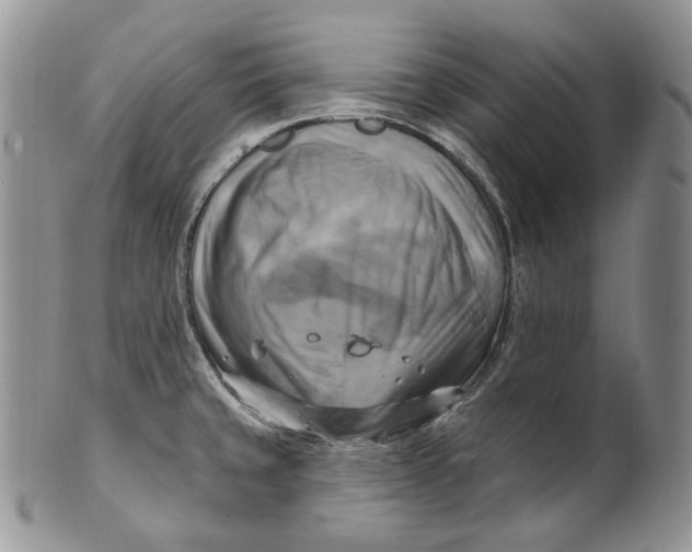 X0000100781429200807101805