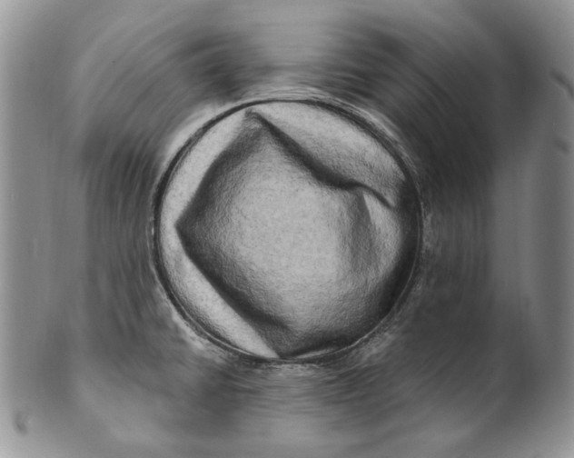 X0000100781430200807101805