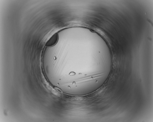 X0000100781431200807101805