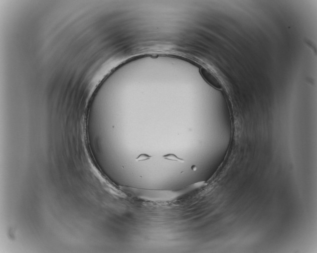 X0000100781432200807101805