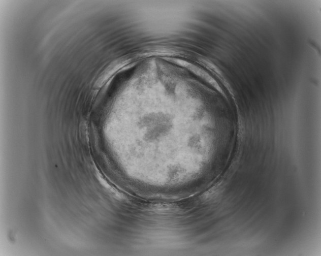 X0000100781433200807101805