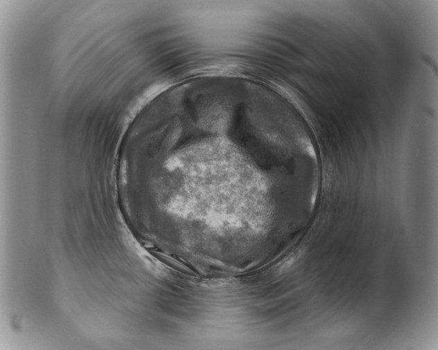 X0000100781434200807101805