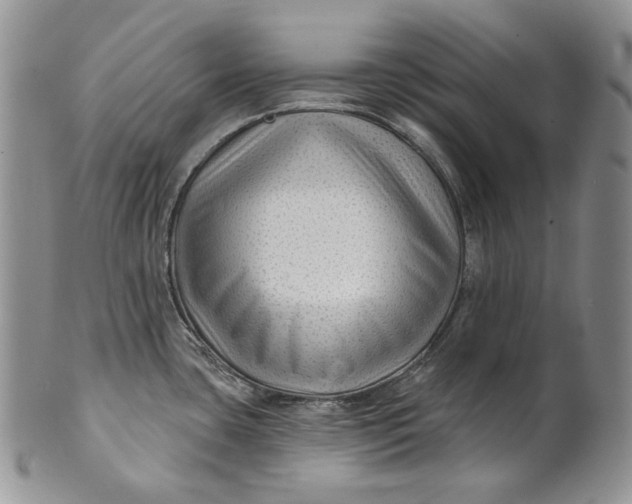 X0000100781435200807101805