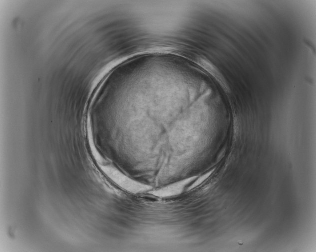 X0000100781436200807101805