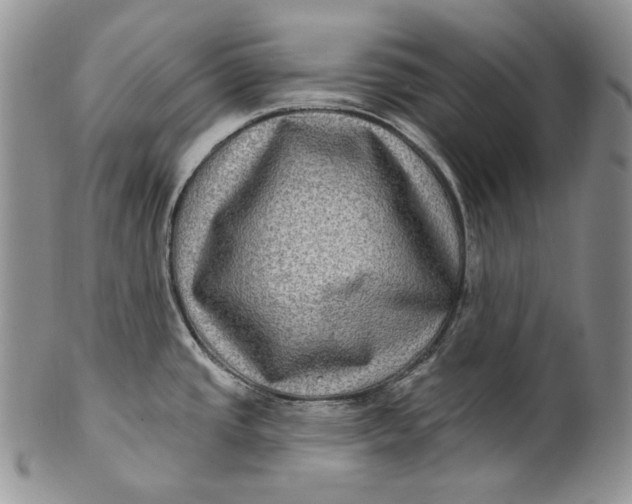 X0000100781437200807101805