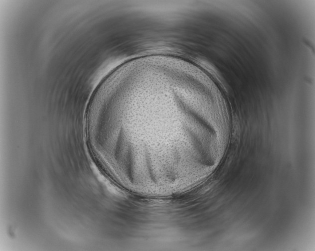 X0000100781439200807101805