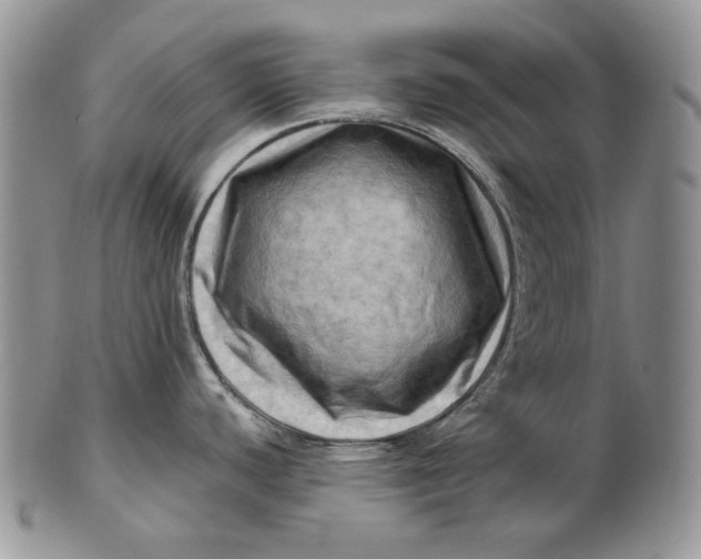 X0000100781440200807101805