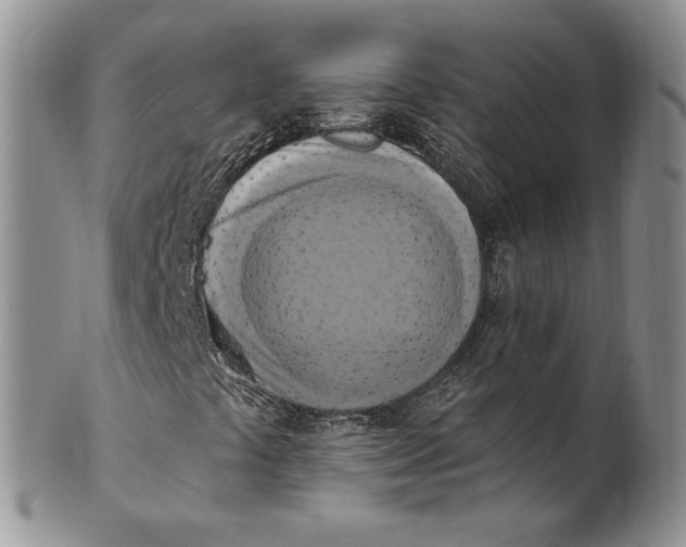 X0000100781441200807101804