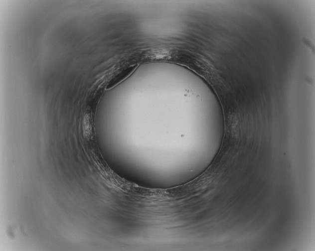 X0000100781442200807101804