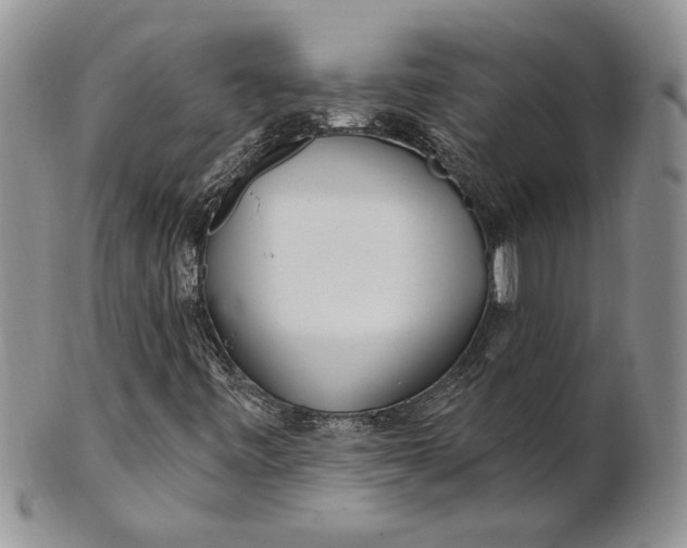 X0000100781443200807101804