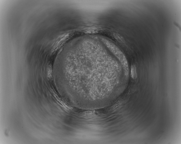 X0000100781444200807101804