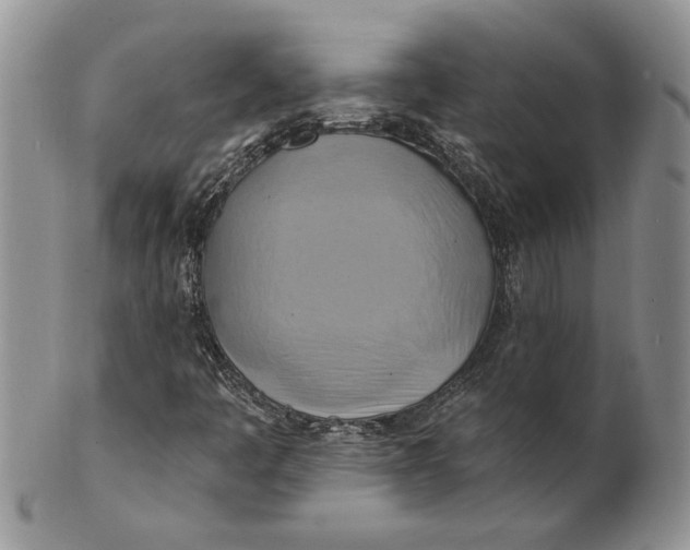 X0000100781445200807101804