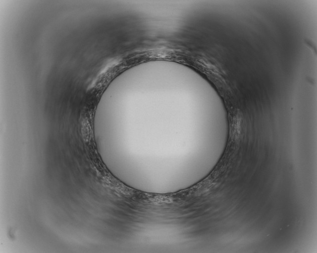 X0000100781446200807101804