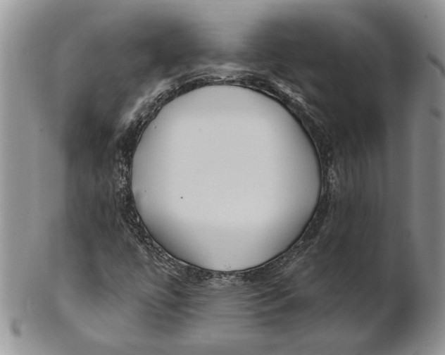 X0000100781447200807101804