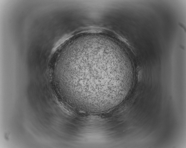 X0000100781448200807101804