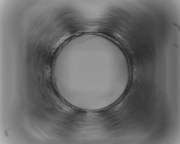 X0000100781449200807101804