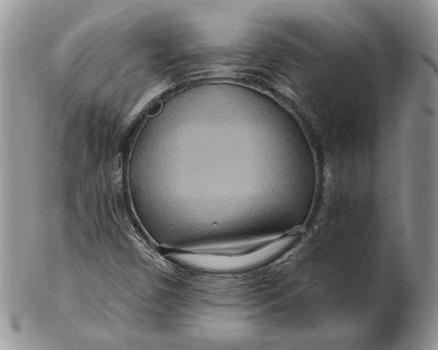 X0000100781450200807101804