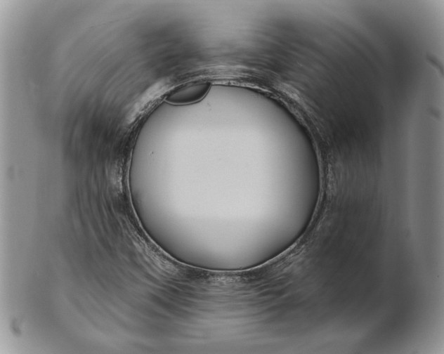 X0000100781451200807101804