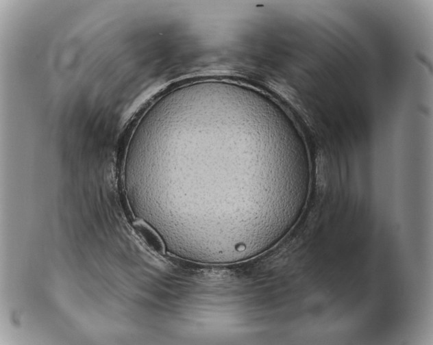 X0000100781452200807101804