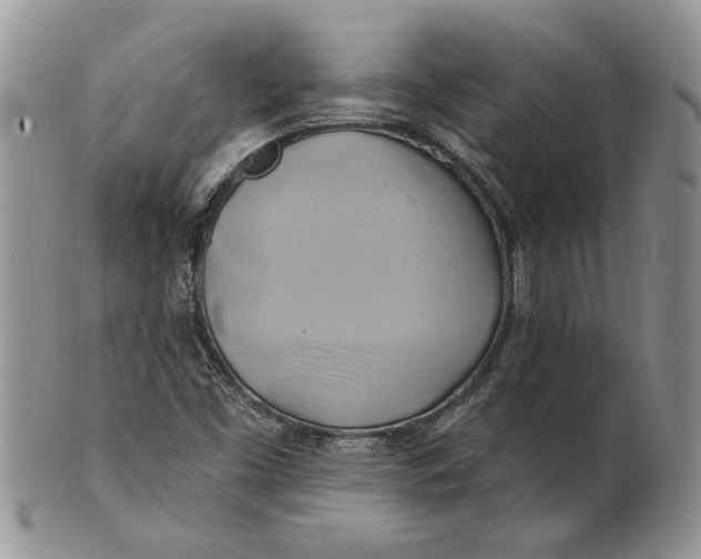 X0000100781453200807101804