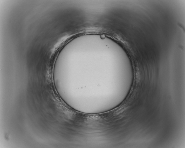 X0000100781454200807101804