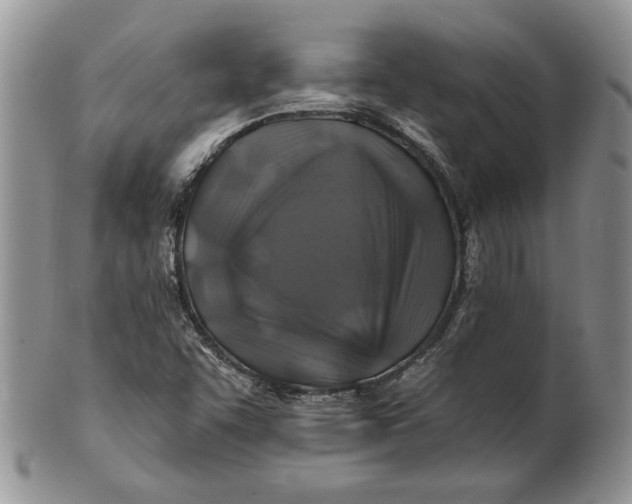 X0000100781455200807101804