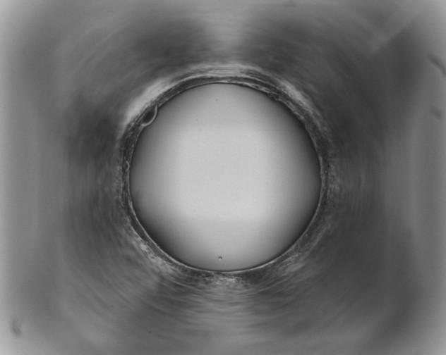 X0000100781456200807101804