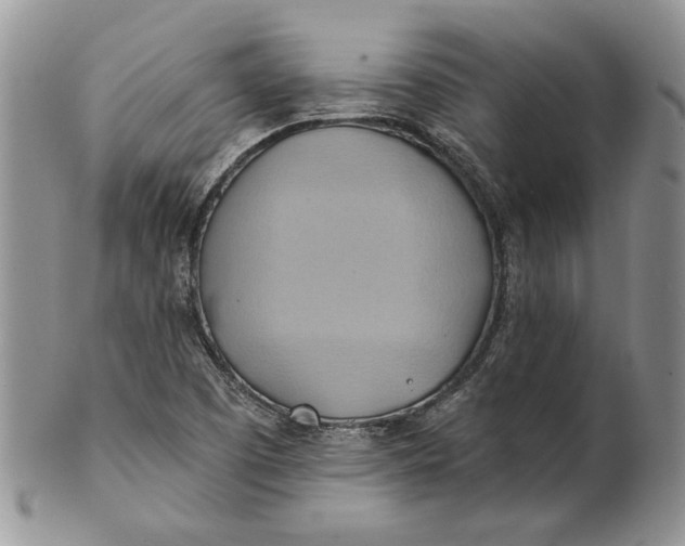 X0000100781457200807101804