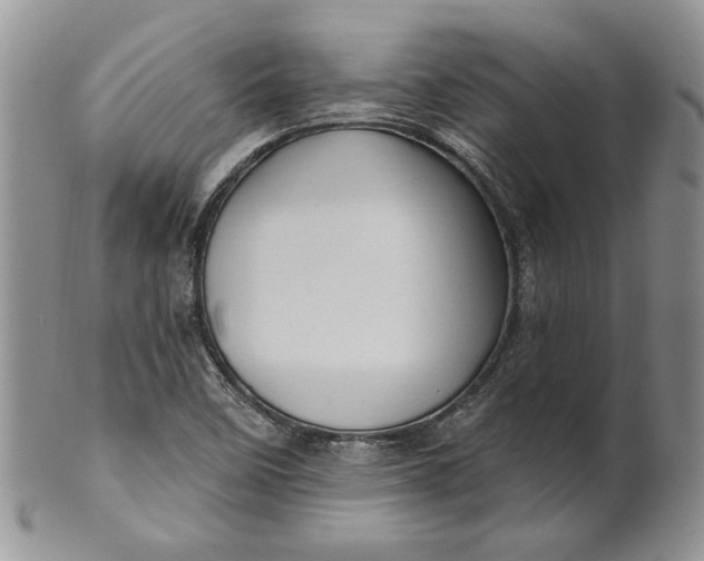 X0000100781458200807101804