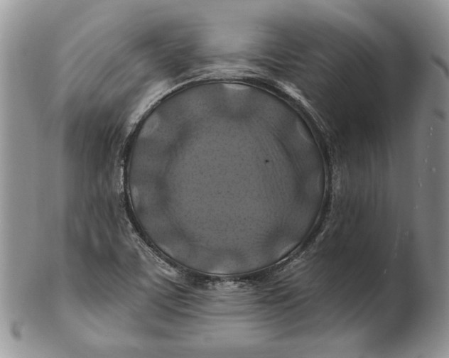 X0000100781459200807101804