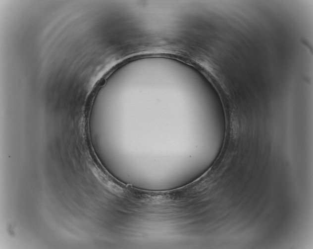 X0000100781460200807101804