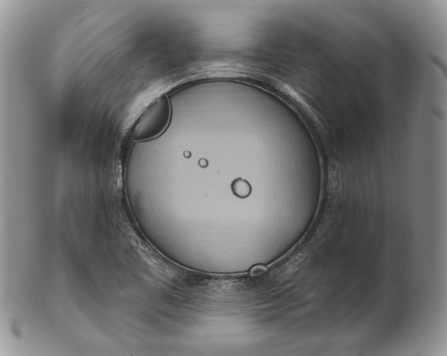 X0000100781461200807101804