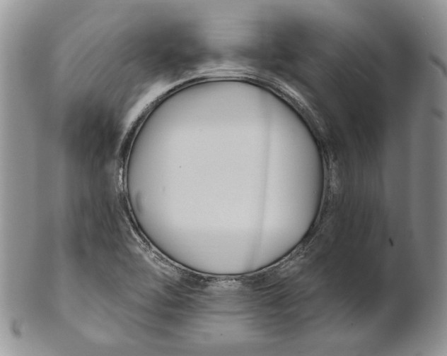 X0000100781462200807101804