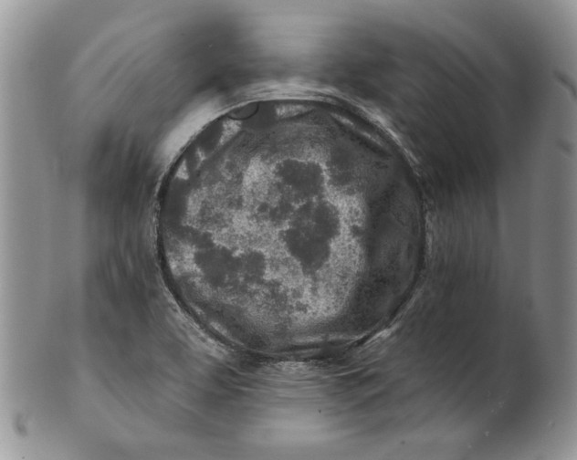 X0000100781463200807101804