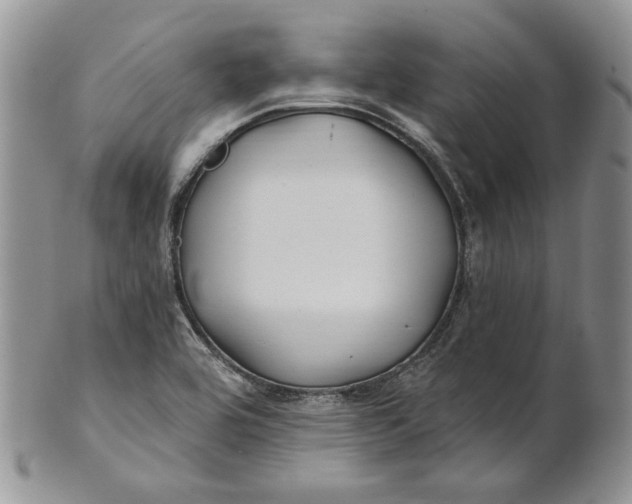 X0000100781464200807101804