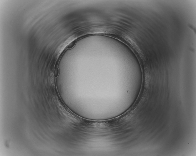 X0000100781465200807101804