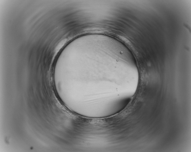 X0000100781466200807101804