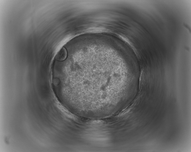 X0000100781467200807101804